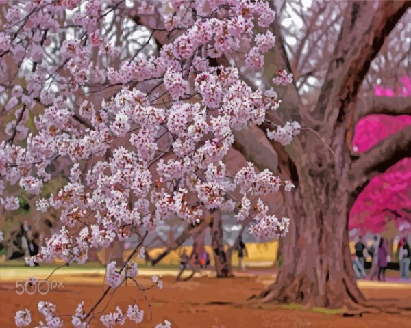 Sakura Garden paint by number
