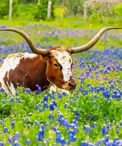 Texas Bluebonnets And Longhorn paint by number