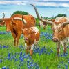 Texas Longhorns And Bluebonnets paint by number