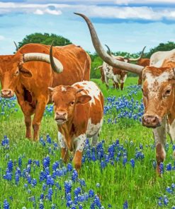 Texas Longhorns And Bluebonnets paint by number