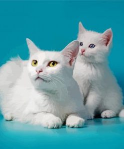 White Cat And Kitten paint by number