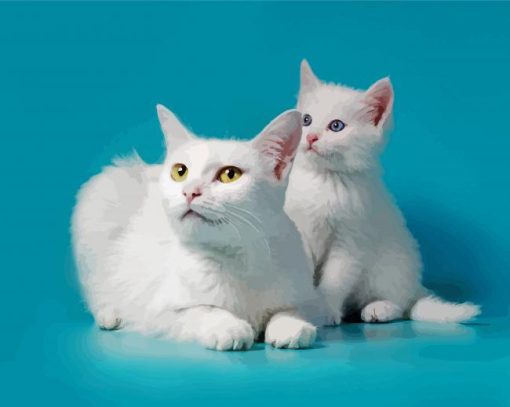 White Cat And Kitten paint by number