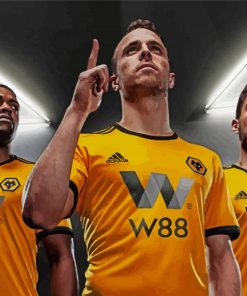 Wolves Football Team Players paint by number