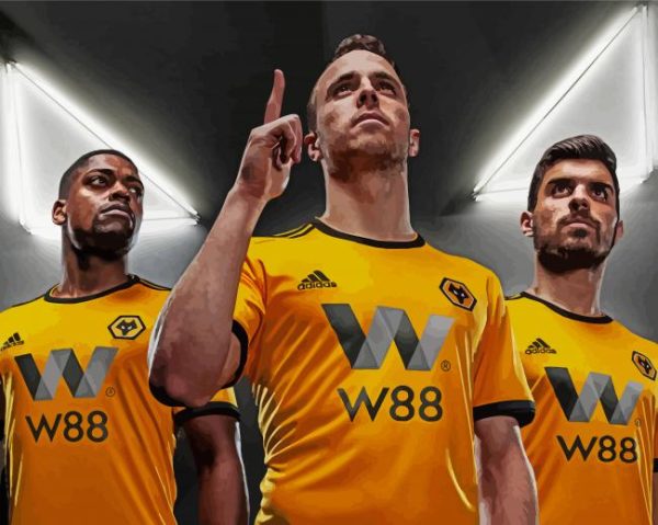 Wolves Football Team Players paint by number