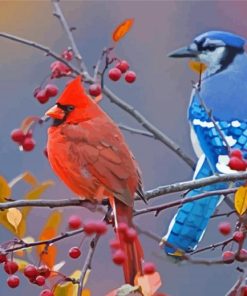 Cardinal And Blue Jay On Branch paint by number