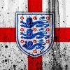 England Football Logo Art paint by number