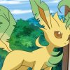 Leafeon Anime paint by number