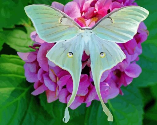 Luna Moth On Flower paint by number