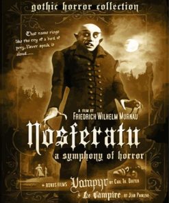 Nosferatu Movie Poster paint by number