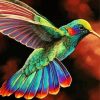 Rainbow Hummingbird paint by number