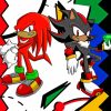 Shadow And Knuckles Cartoon paint by number