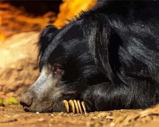 Sloth Bear Side Profile paint by number