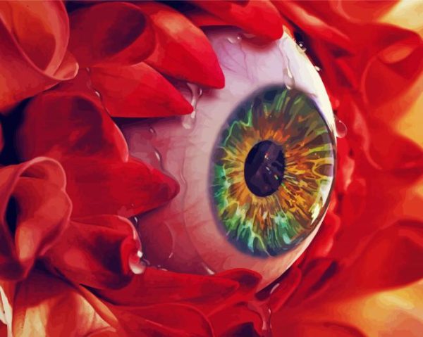 Eye Flower paint by number