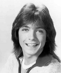 Black And White Young David Cassidy paint by number