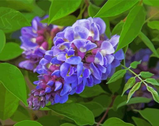 Blue Wisteria Plant paint by number