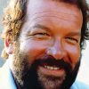 The Actor Bud Spencer paint by number