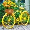 Yellow Flowers And Bicycle paint by number