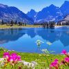 Teton Mountains Spring paint by number