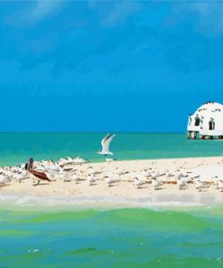 Marco Island Florida paint by number