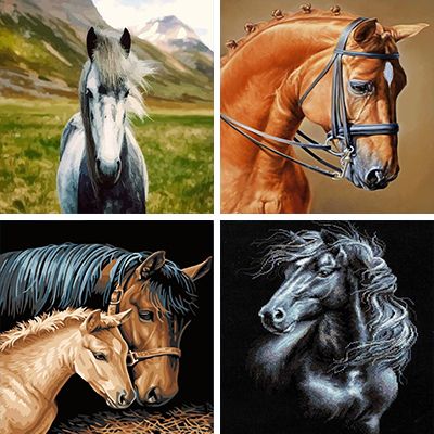 Stallions Paint By Numbers 