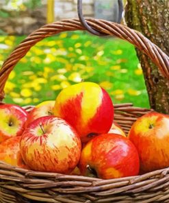 Apple Basket Fruit painting by numbers