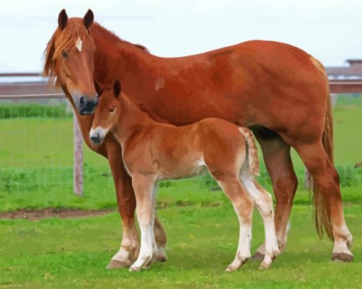 Horse And Colt paint by numbers