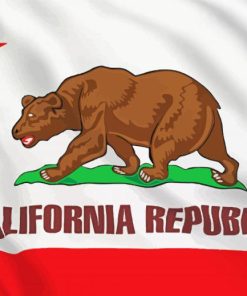 California Republic Flag paint by numbers