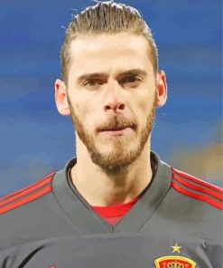 David De Gea Paint by Numbers