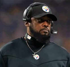 Mike Tomlin Paint by Numbers