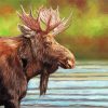 Moose Head paint by numbers