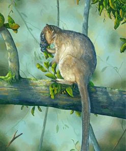 Tree Kangaroo On Branch paint by numbers