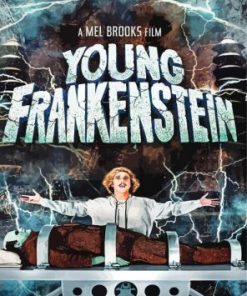 Young Frankenstein Film Paint by Numbers