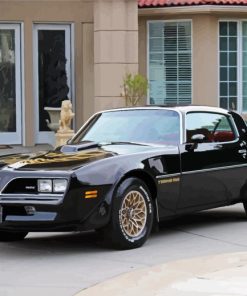 Black 78 Trans Am paint by numbers