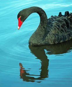 Black Swan paint by numbers