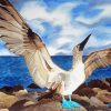 Cool Blue Footed Booby paint by numbers