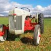 Red Ford N Series Tractor Paint by Numbers