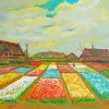 Bulbs Fields Van Gogh Paint By Numbers