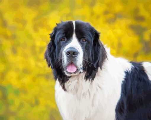 Landseer Dog Paint by numbers