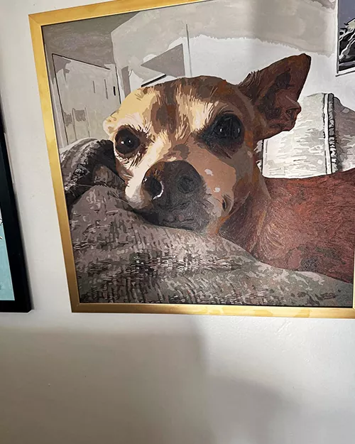 Custom Paint By Numbers​ Pets R 1