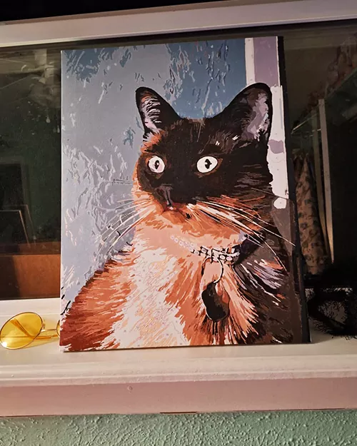 Custom Paint By Numbers​ Pets R 2