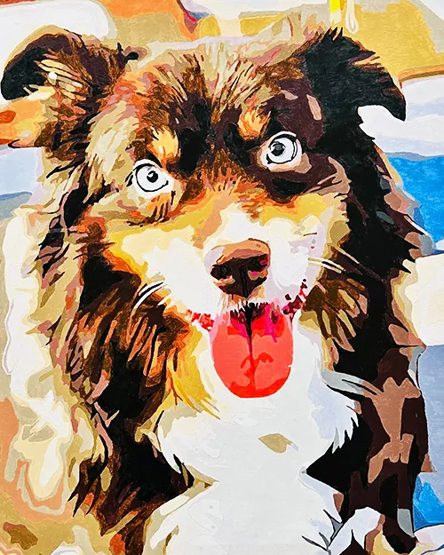 Custom Paint By Numbers​ Pets R 4