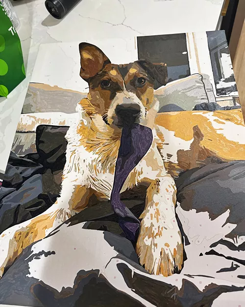 Custom Paint By Numbers​ Pets R 5