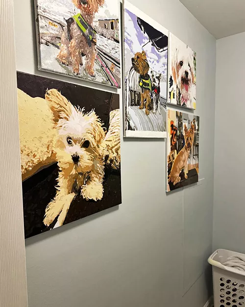 Custom Paint By Numbers​ Pets R 6