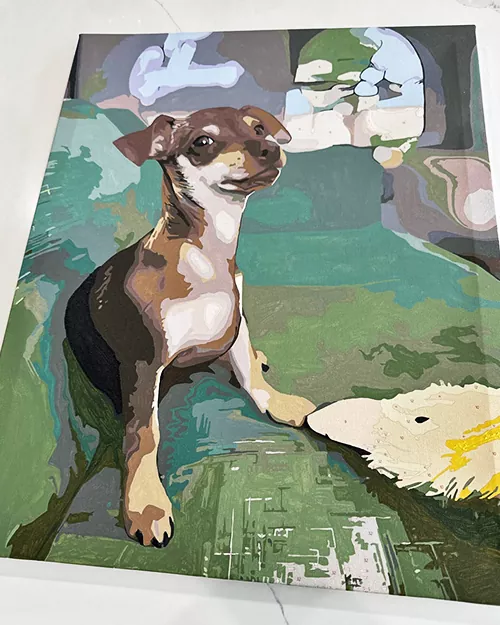 Custom Paint By Numbers​ Pets R 7