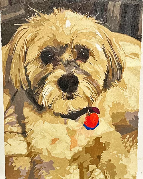 Custom Paint By Numbers​ Pets R 8